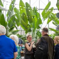 Janel Pettes Guikema chatting with group of colleagues